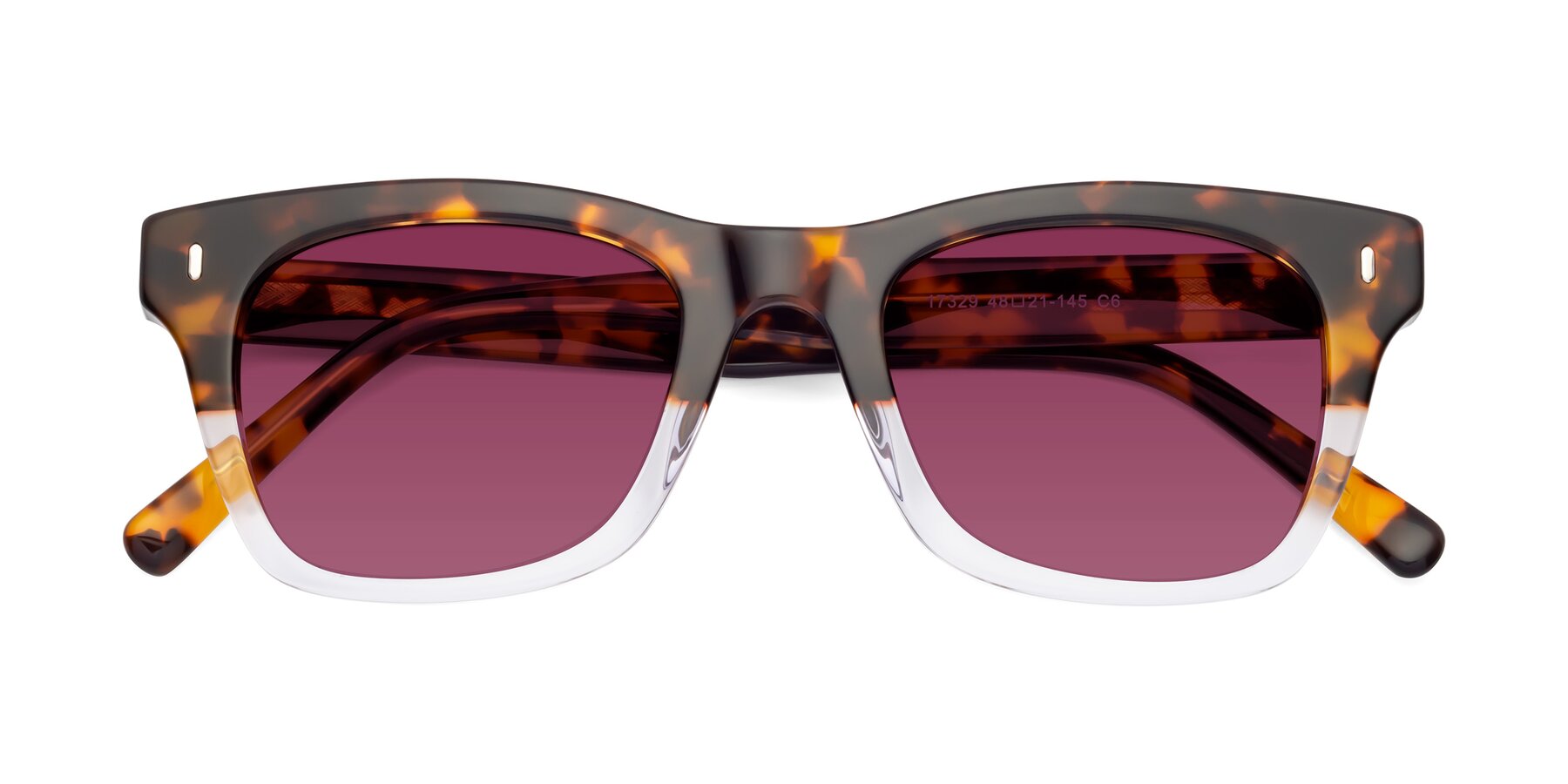 Folded Front of Ben in Tortoise-Clear with Wine Tinted Lenses