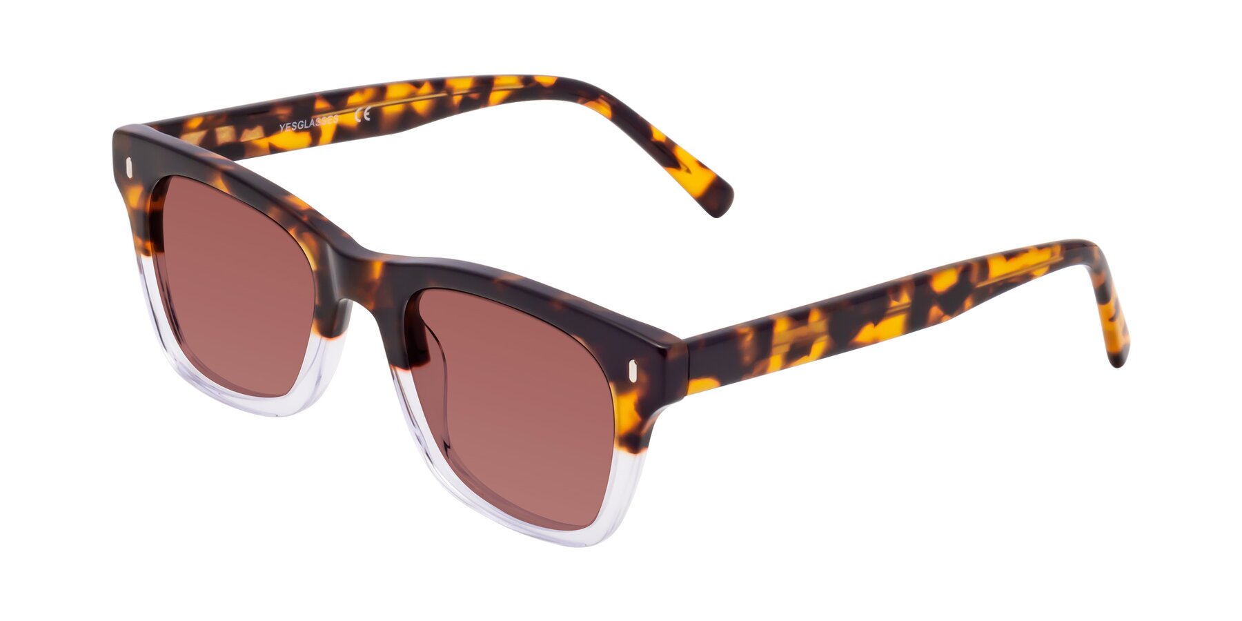 Angle of Ben in Tortoise-Clear with Garnet Tinted Lenses