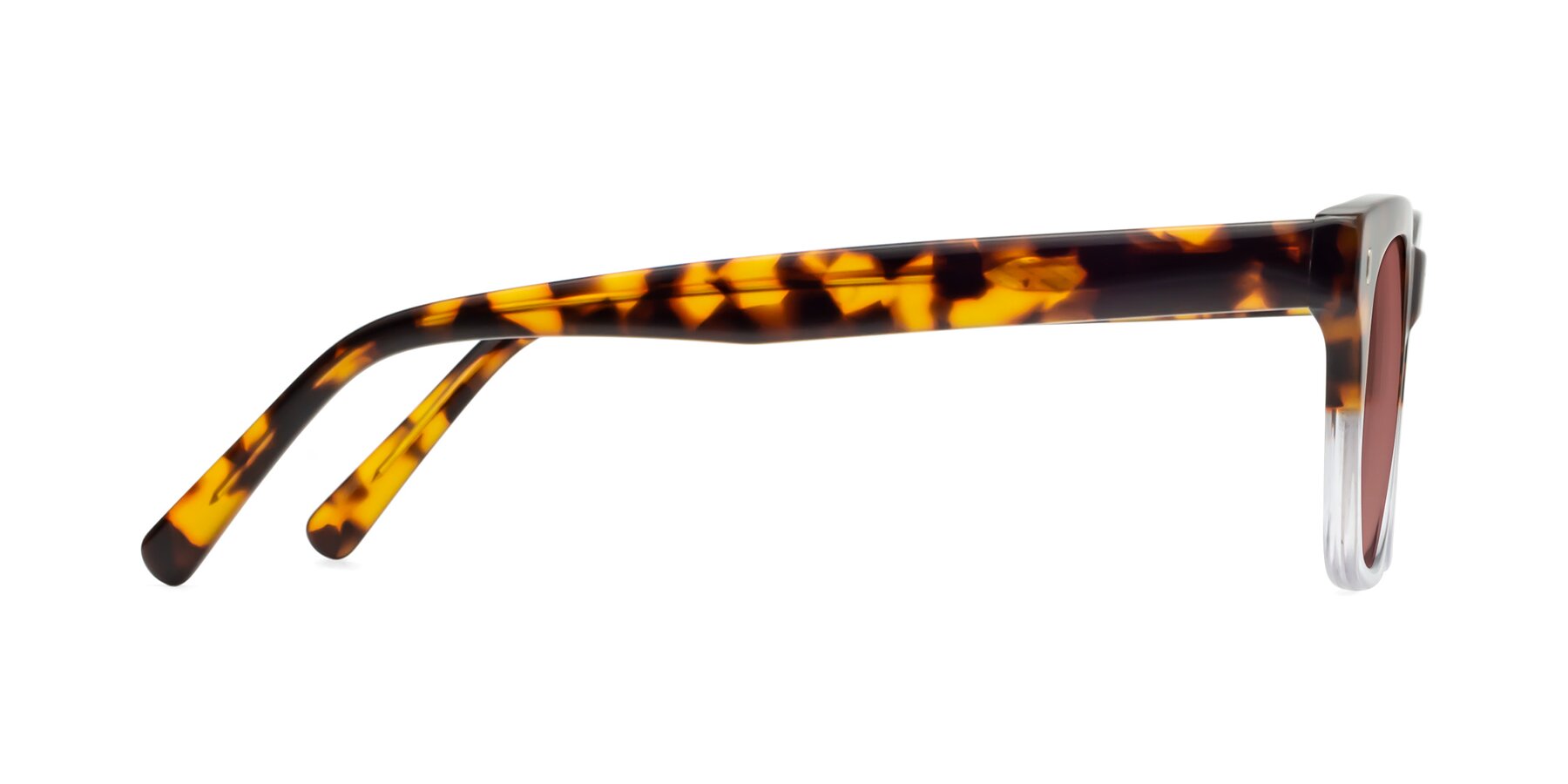 Side of Ben in Tortoise-Clear with Garnet Tinted Lenses