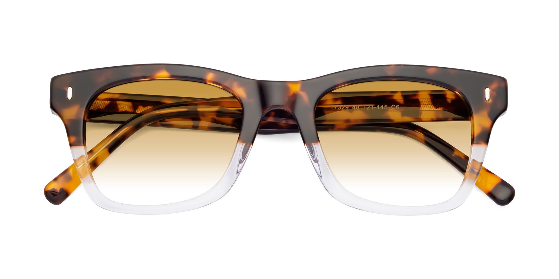 Folded Front of Ben in Tortoise-Clear with Champagne Gradient Lenses