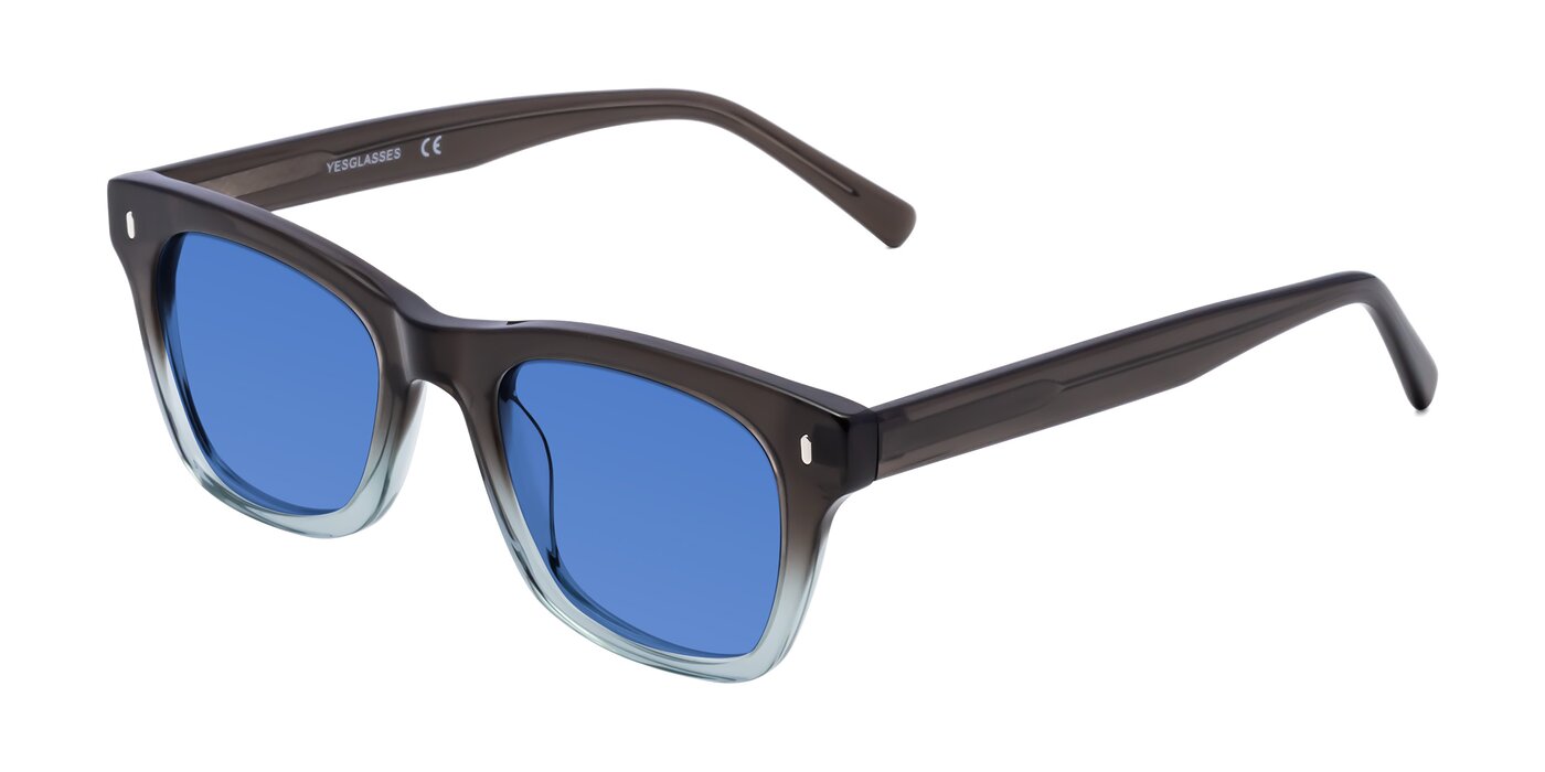 Brown/Light Blue Geek-Chic Thick Square Tinted Sunglasses with Blue ...