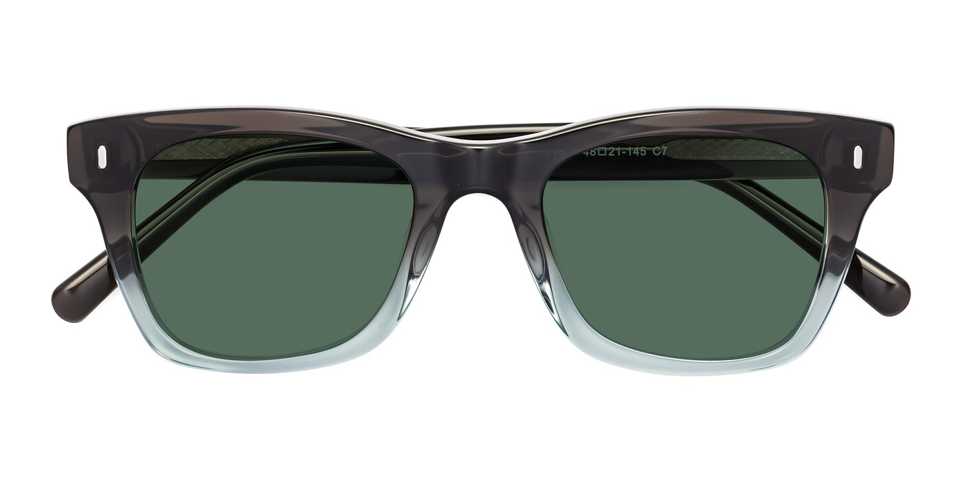 17329 - Brown / Light Blue Polarized Sunglasses