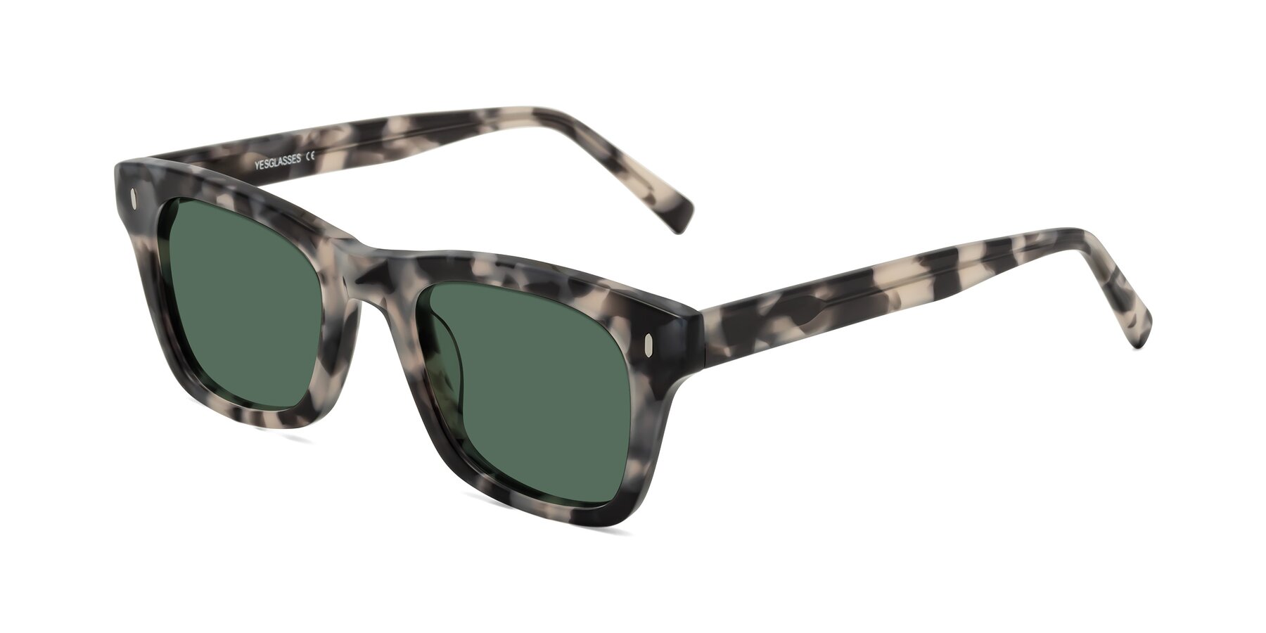 Angle of Ben in Ivory Tortoise with Green Polarized Lenses