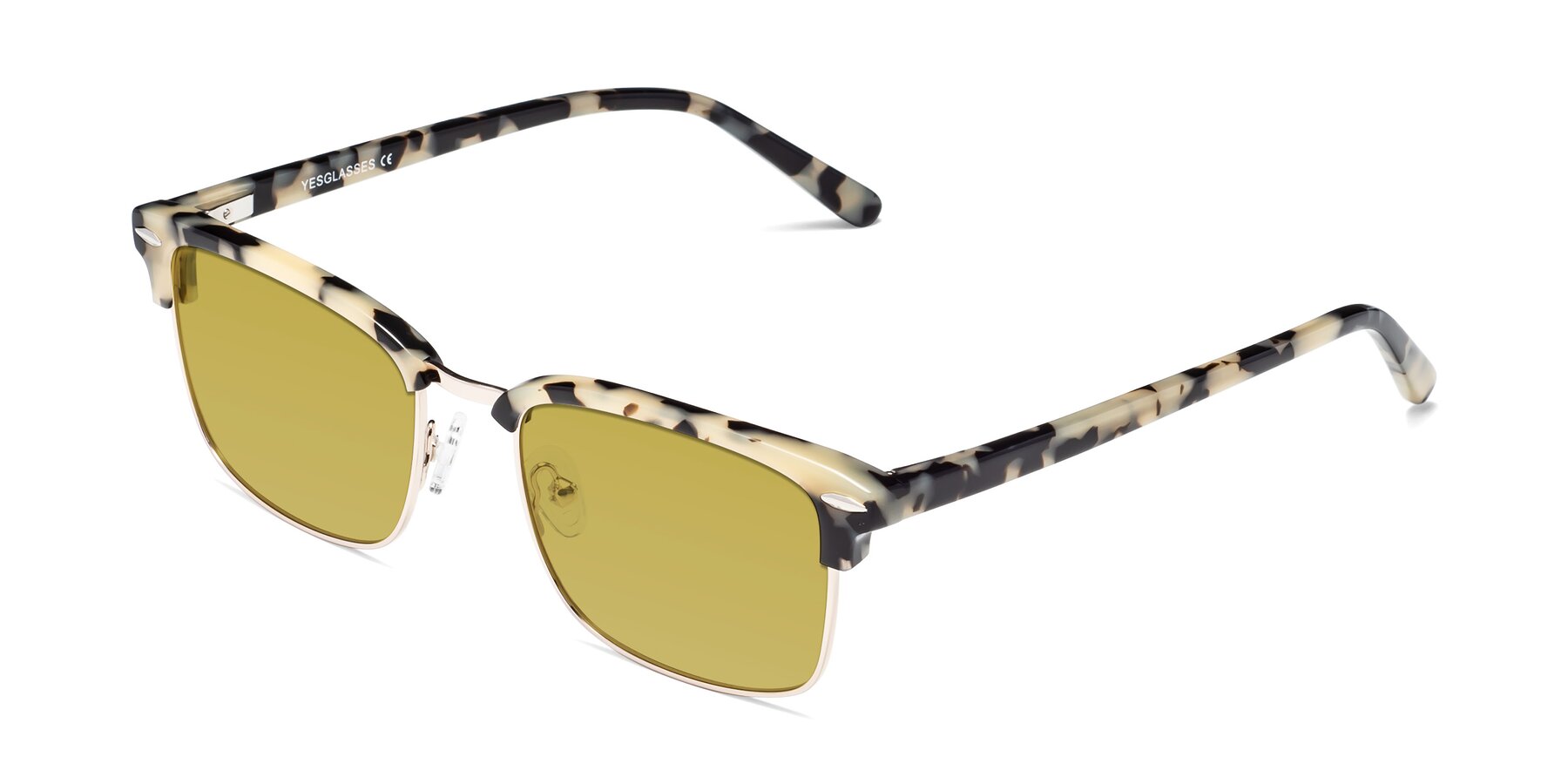 Angle of 17464 in Tortoise-Gold with Champagne Tinted Lenses