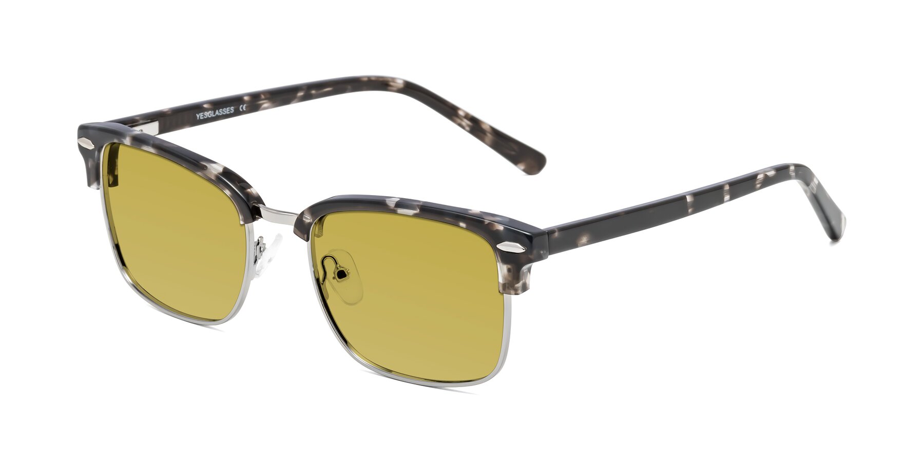 Angle of 17464 in Tortoise-Silver with Champagne Tinted Lenses