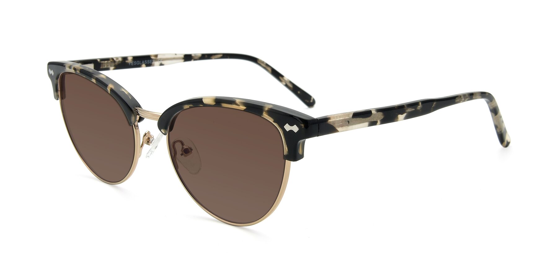 Angle of 17461 in Tortoise-Gold with Brown Tinted Lenses