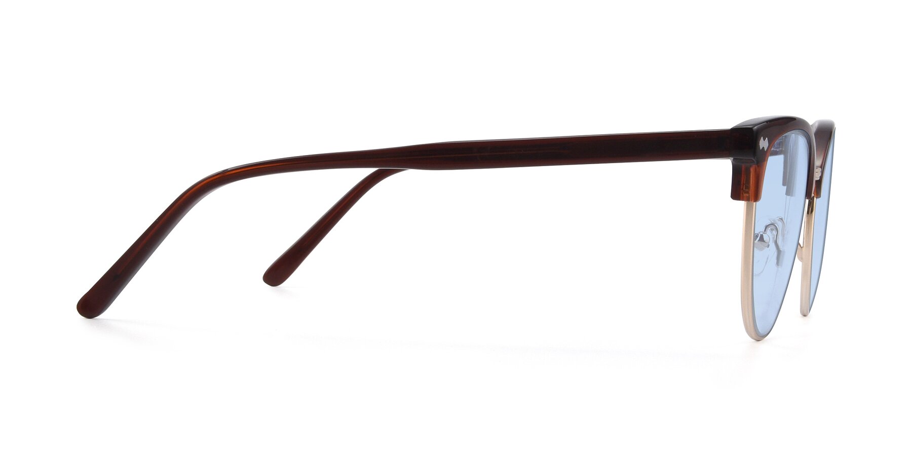 Side of 17461 in Amber Brown with Light Blue Tinted Lenses