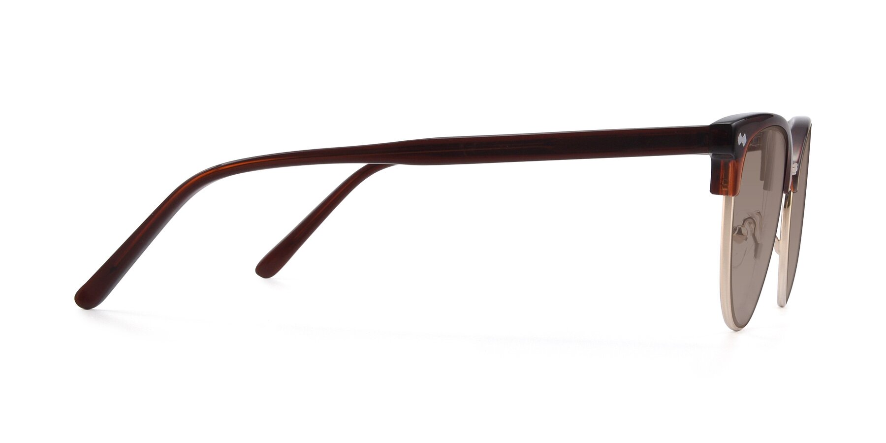 Side of 17461 in Amber Brown with Medium Brown Tinted Lenses