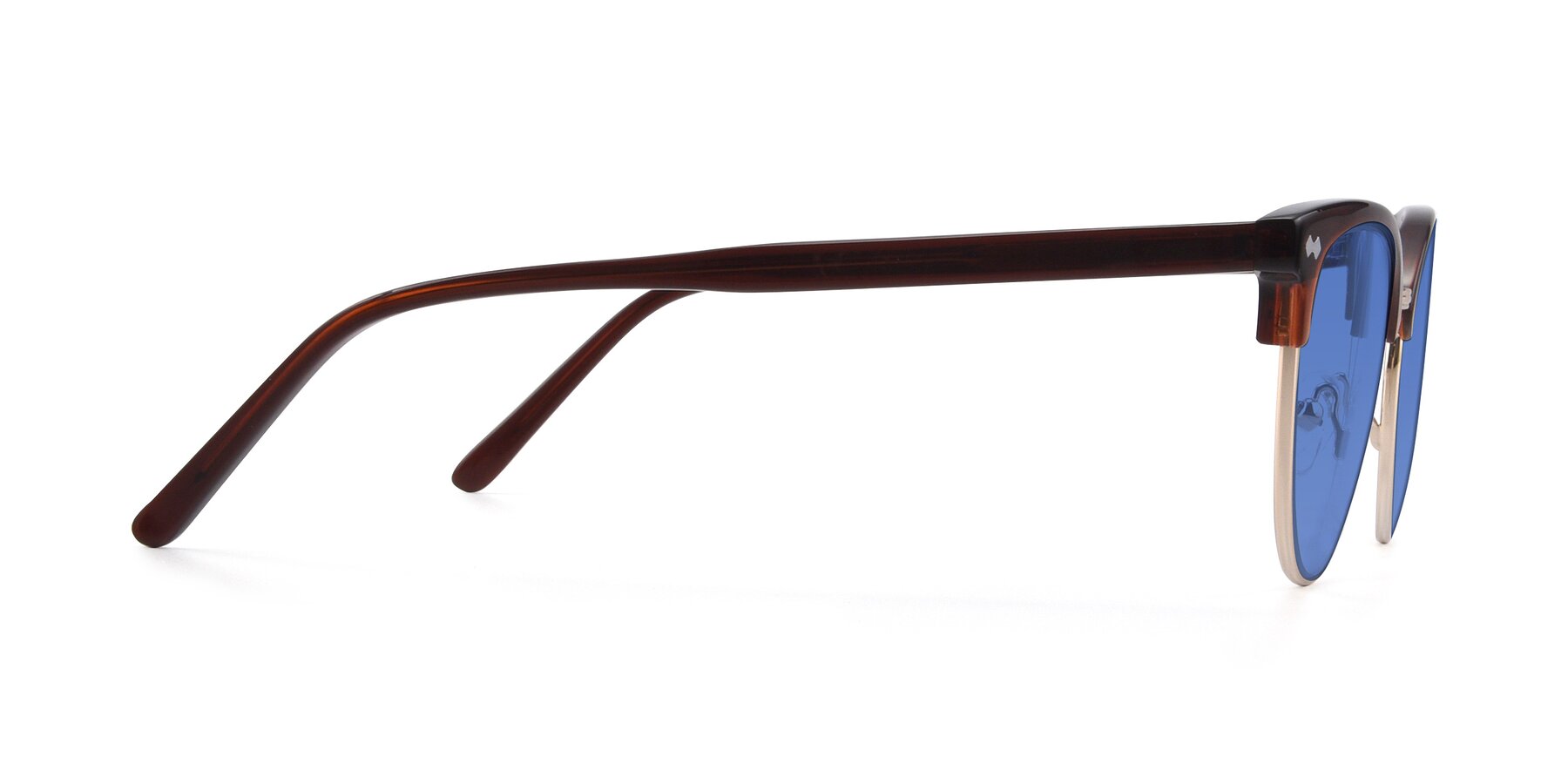 Side of 17461 in Amber Brown with Blue Tinted Lenses