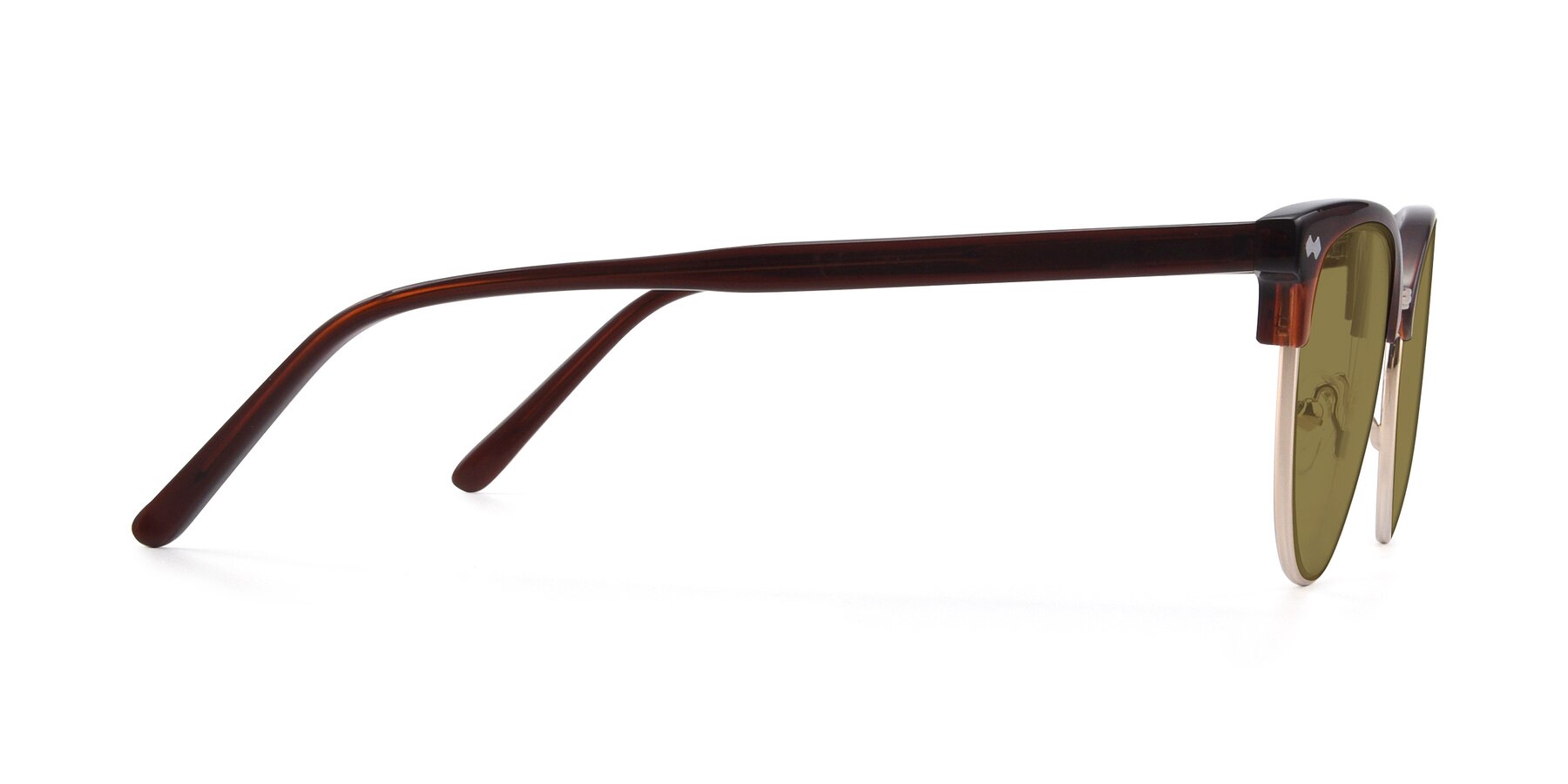 Side of 17461 in Amber Brown with Brown Polarized Lenses