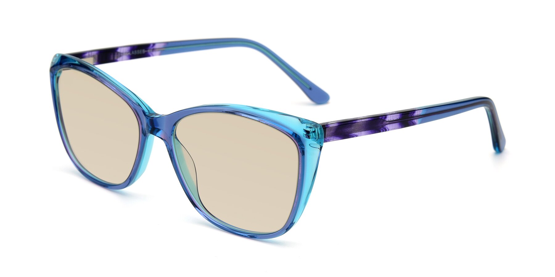Angle of 17384 in Transparent Blue with Light Brown Tinted Lenses