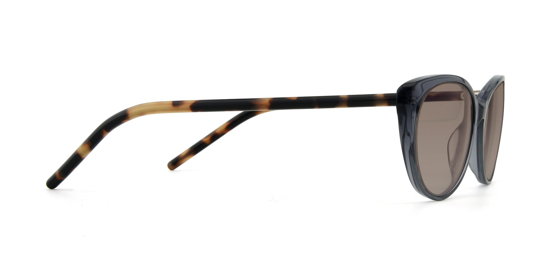 Side of 17420 in Transparent Grey with Medium Brown Tinted Lenses