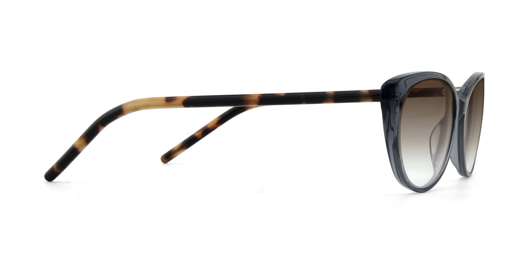 Side of 17420 in Transparent Grey with Brown Gradient Lenses
