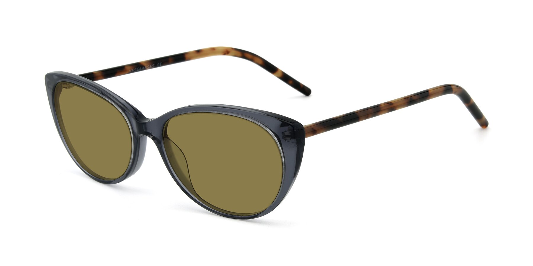Angle of 17420 in Transparent Grey with Brown Polarized Lenses