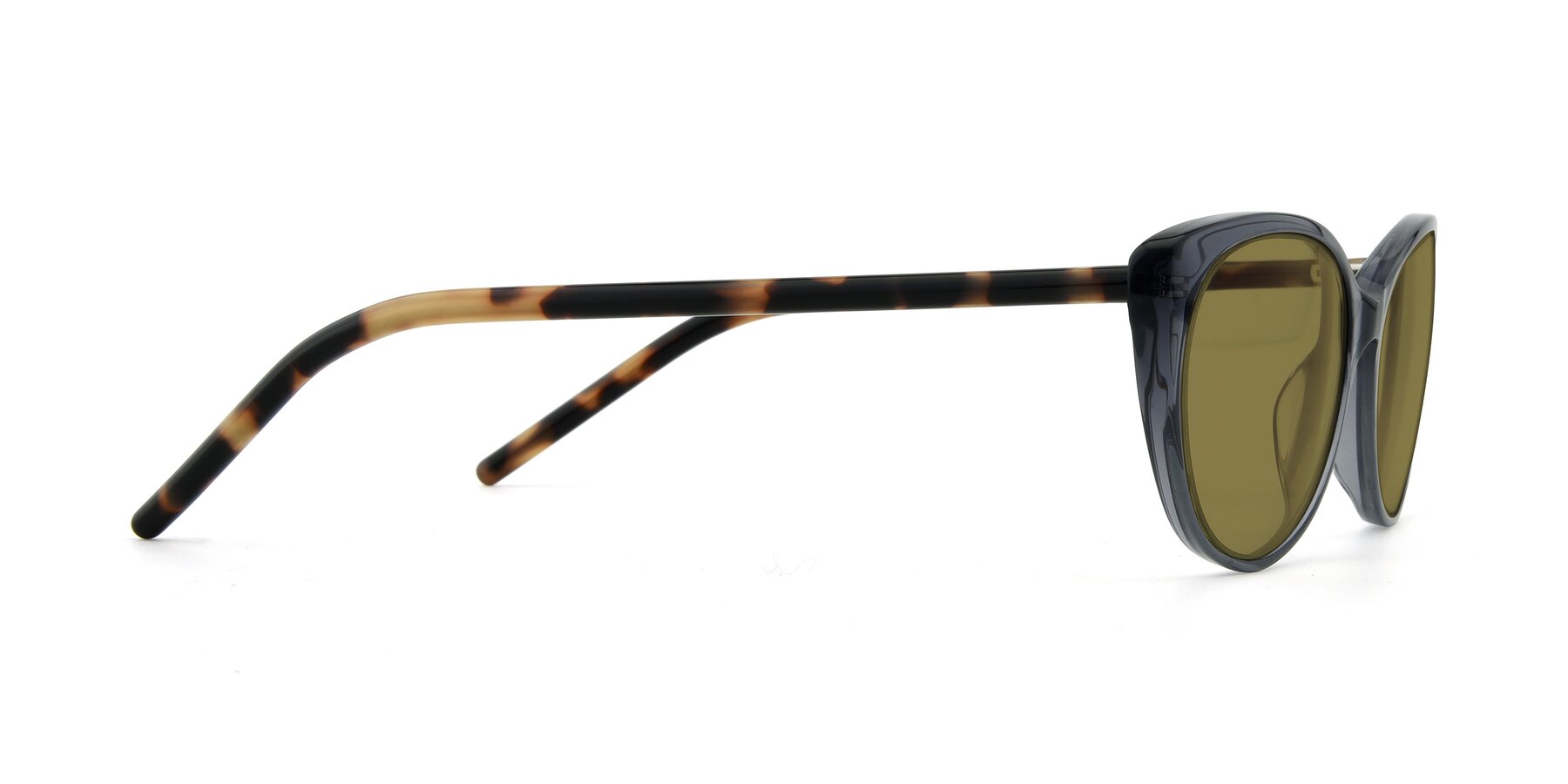 Side of 17420 in Transparent Grey with Brown Polarized Lenses