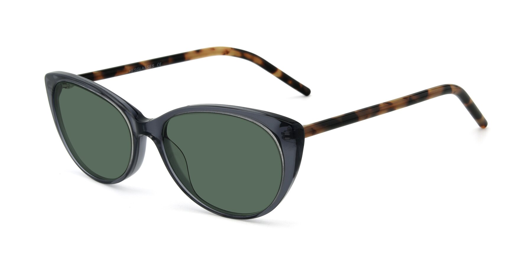 Angle of 17420 in Transparent Grey with Green Polarized Lenses