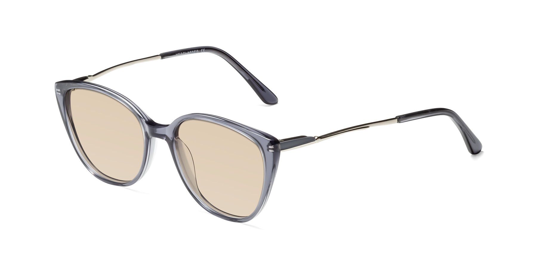 Angle of 17424 in Transparent Grey with Light Brown Tinted Lenses