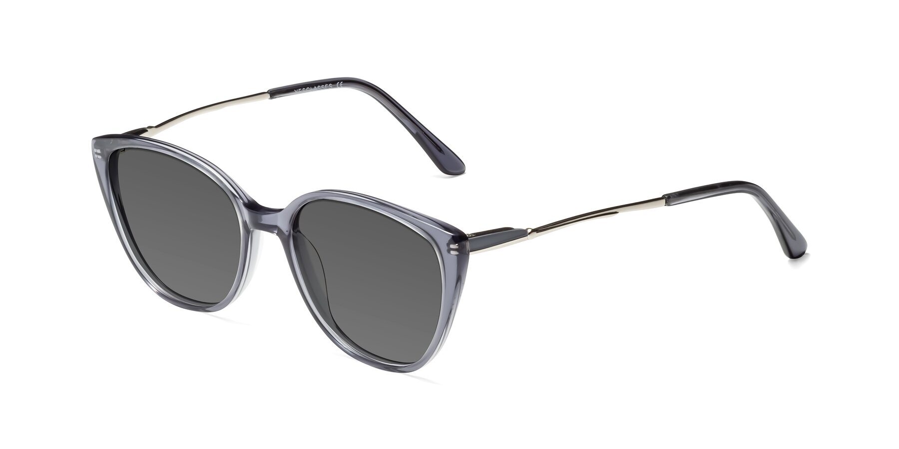 Angle of 17424 in Transparent Grey with Medium Gray Tinted Lenses