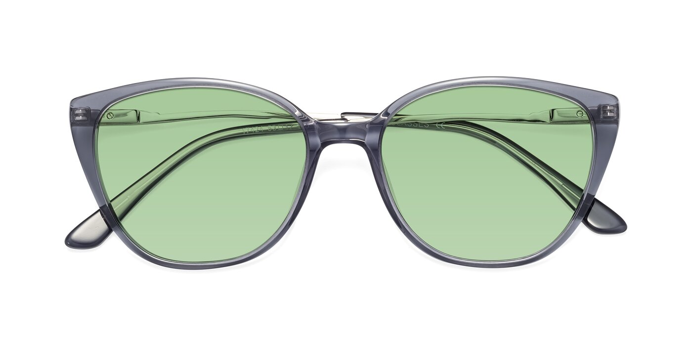 17424 - Transparent Grey Tinted Sunglasses