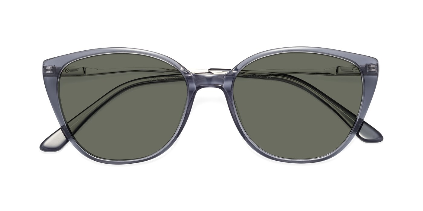 17424 - Transparent Grey Polarized Sunglasses