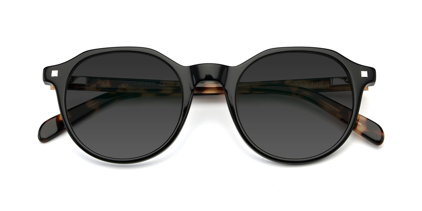 17425 - Black Tinted Sunglasses