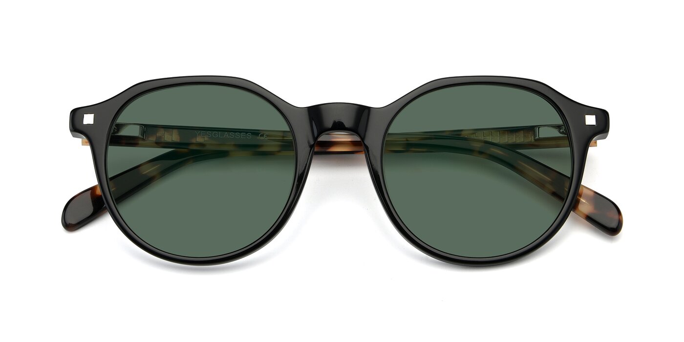 17425 - Black Polarized Sunglasses