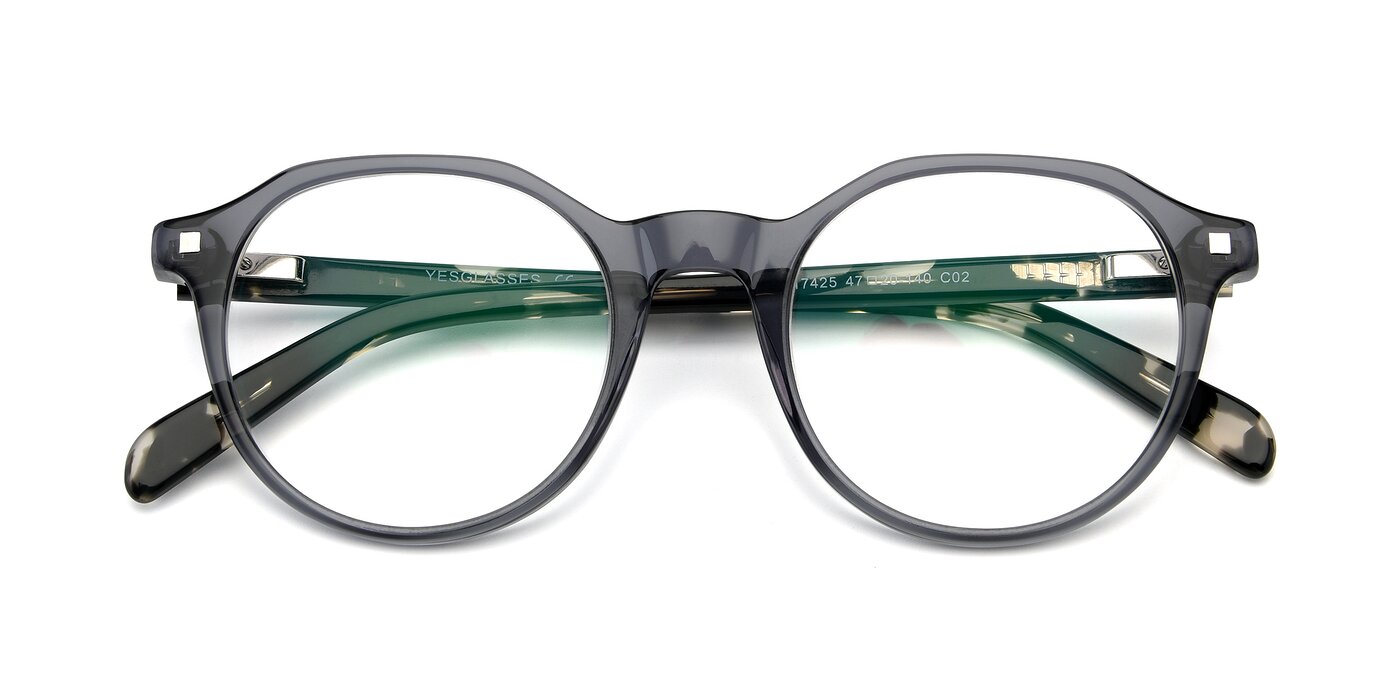 17425 - Transparent Grey Reading Glasses