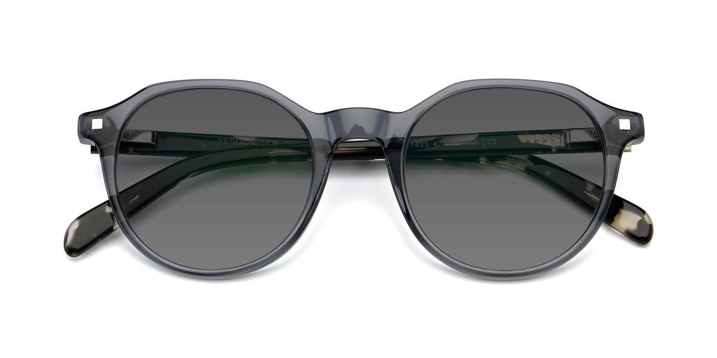 17425 - Transparent Grey Tinted Sunglasses