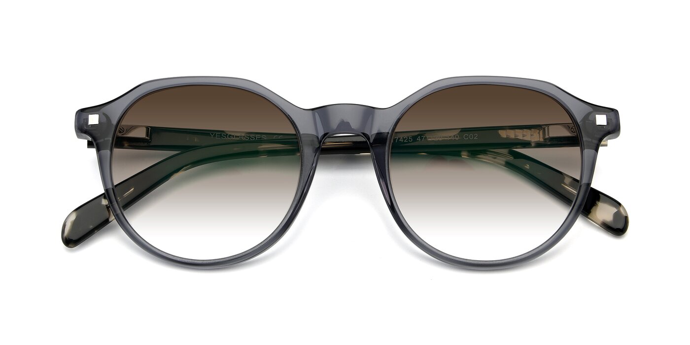 17425 - Transparent Grey Gradient Sunglasses