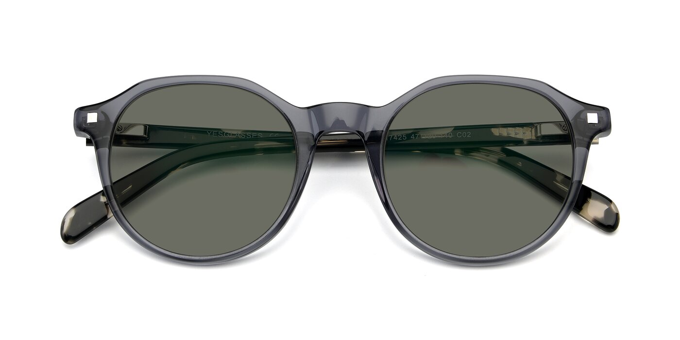 17425 - Transparent Grey Polarized Sunglasses