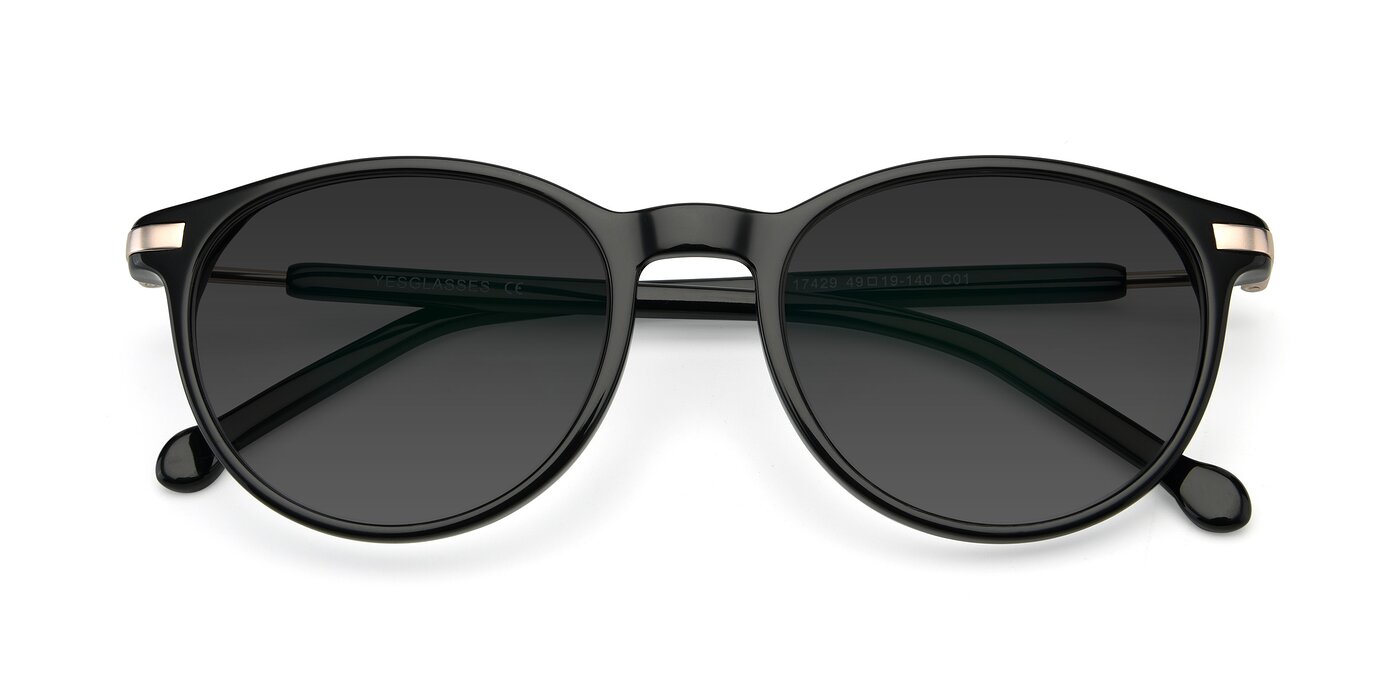 17429 - Black Tinted Sunglasses