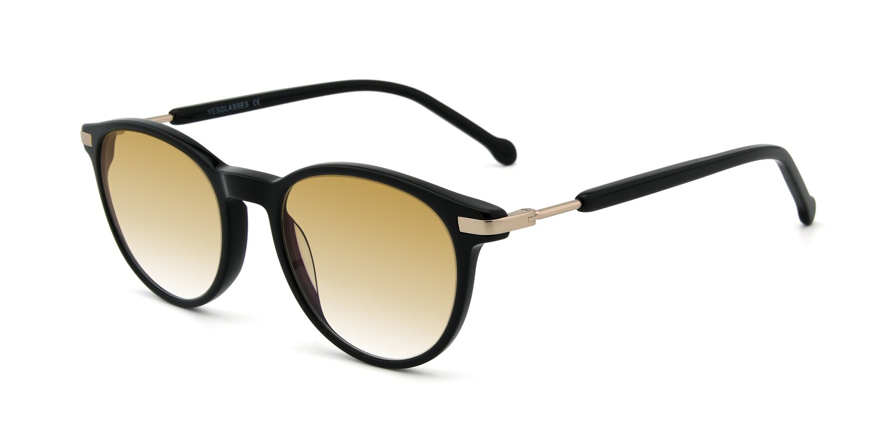 Angle of 17429 in Black with Champagne Gradient Lenses