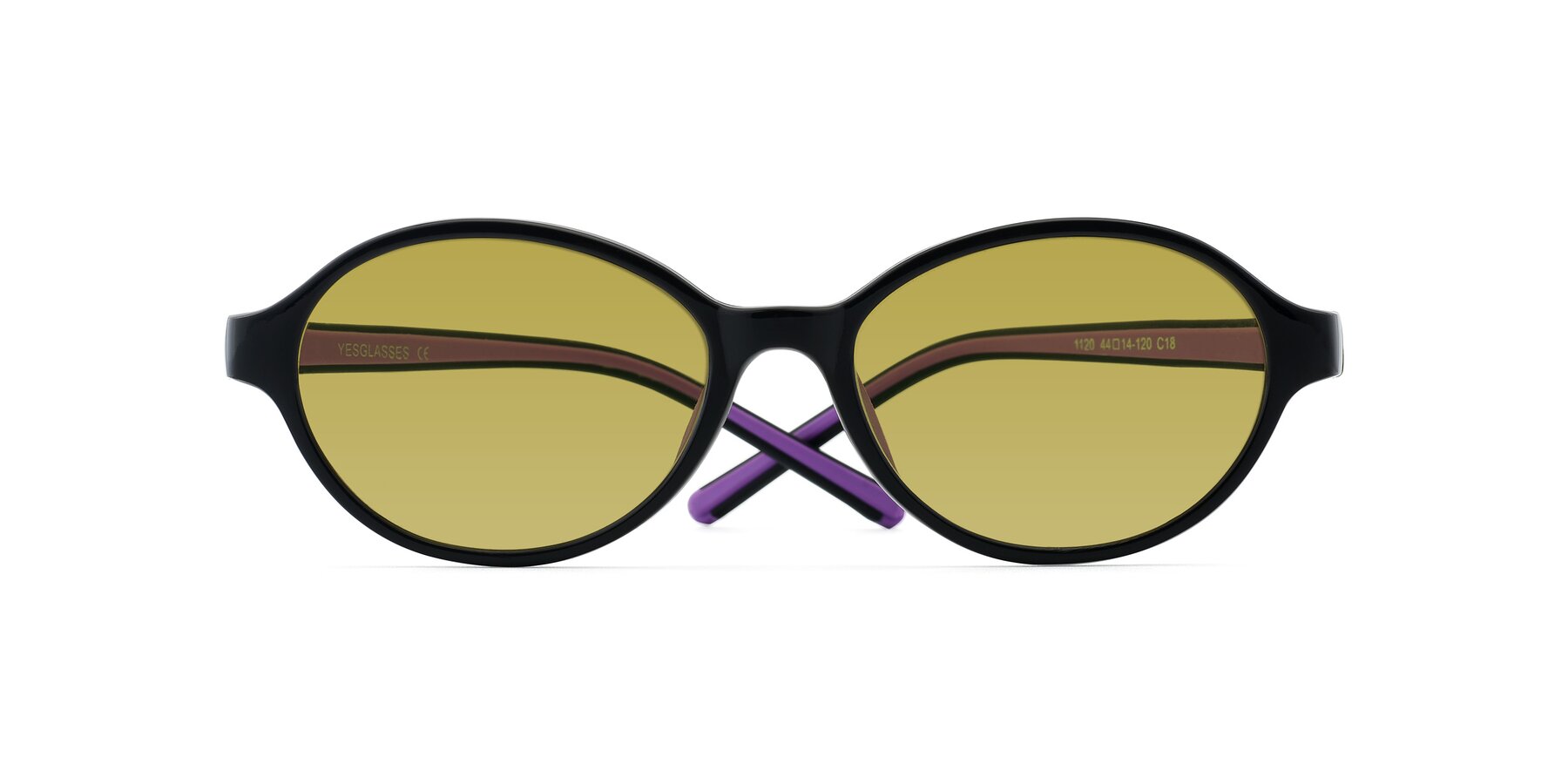 Folded Front of 1120 in Black-Purple with Champagne Tinted Lenses
