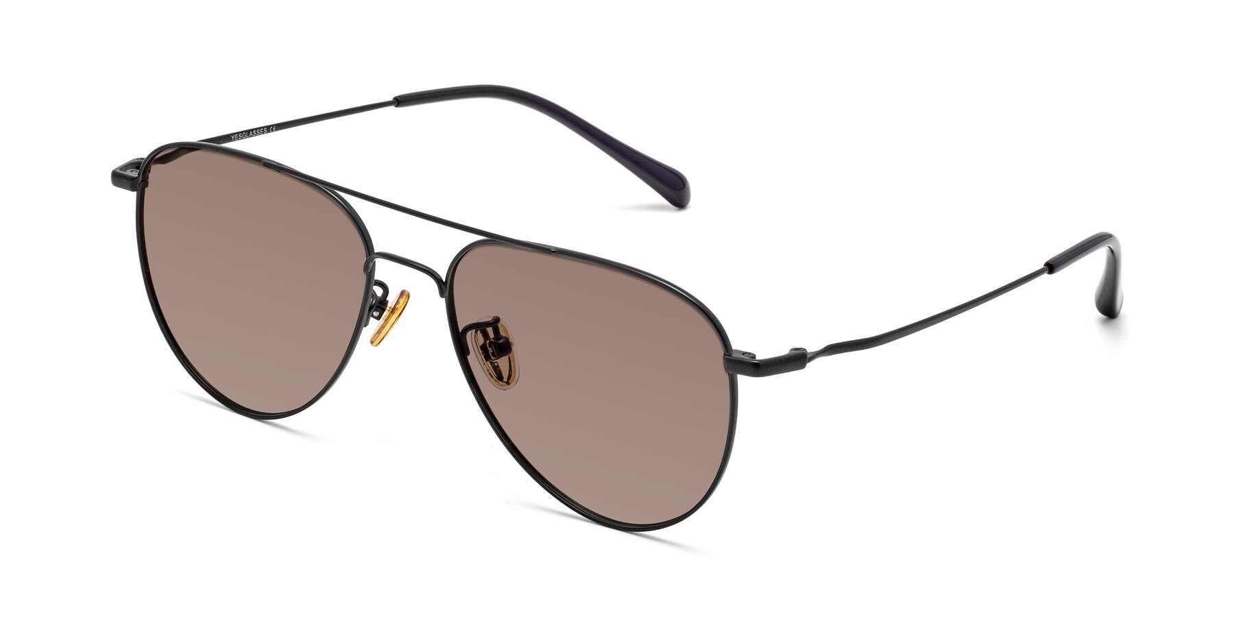 Angle of Hindley in Black with Medium Brown Tinted Lenses