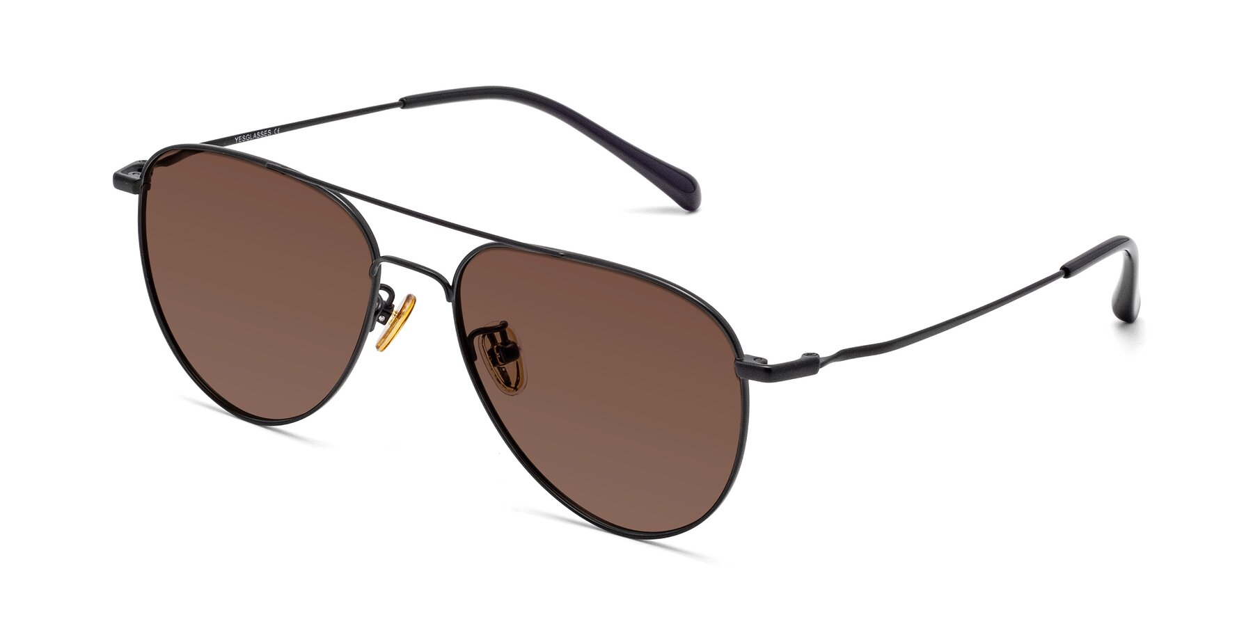 Angle of Hindley in Black with Brown Tinted Lenses