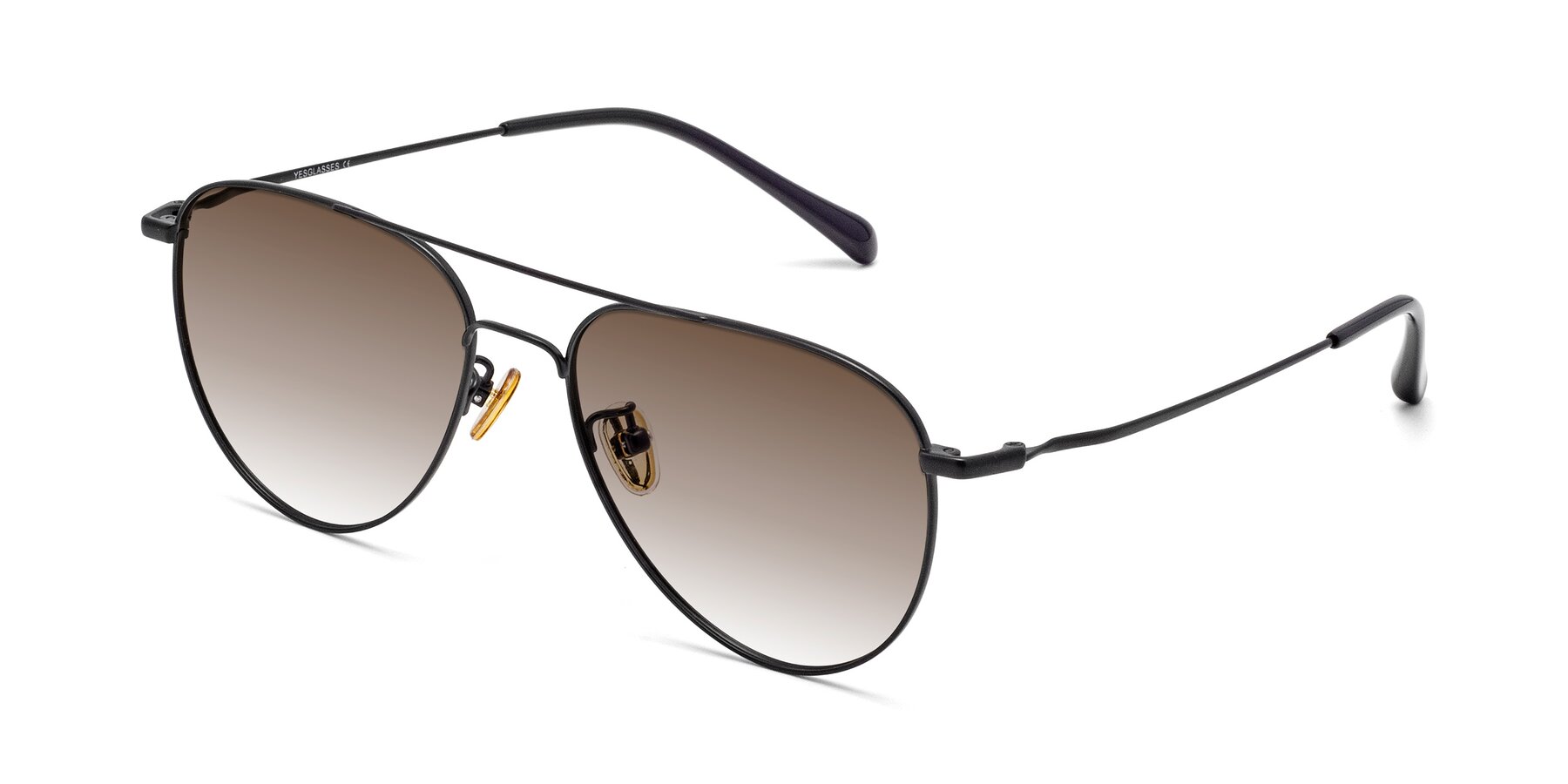 Angle of Hindley in Black with Brown Gradient Lenses