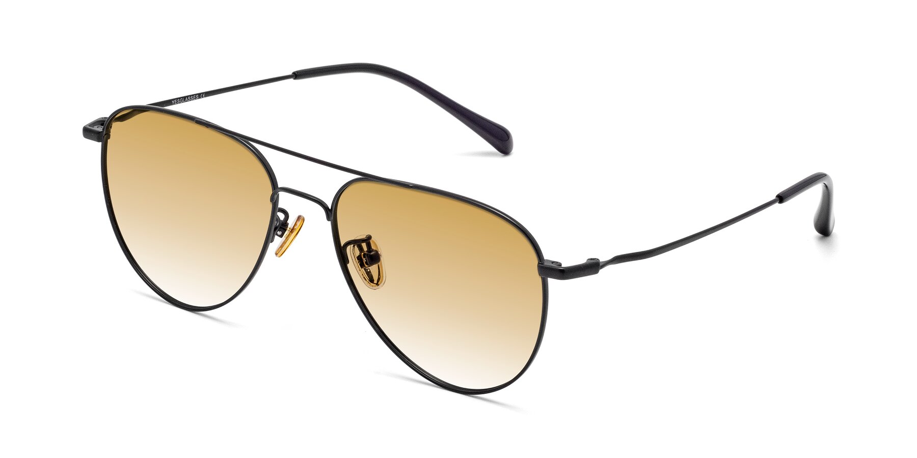 Angle of Hindley in Black with Champagne Gradient Lenses