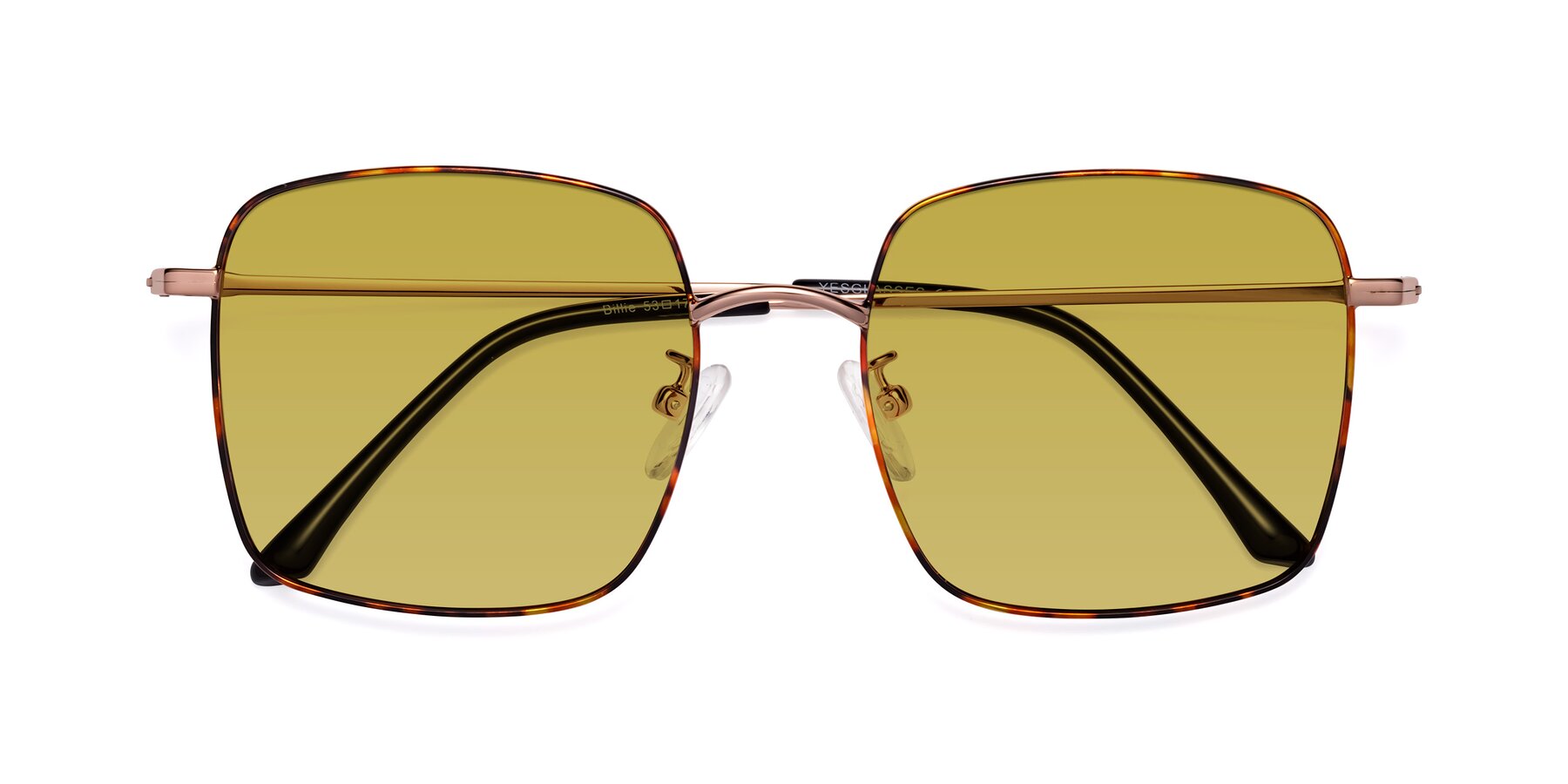 Folded Front of Billie in Tortoise with Champagne Tinted Lenses