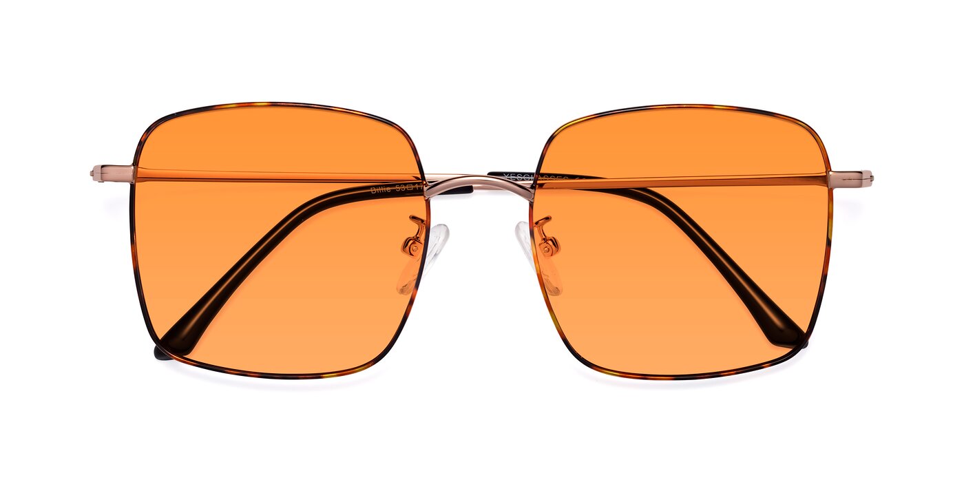 Billie - Tortoise Tinted Sunglasses