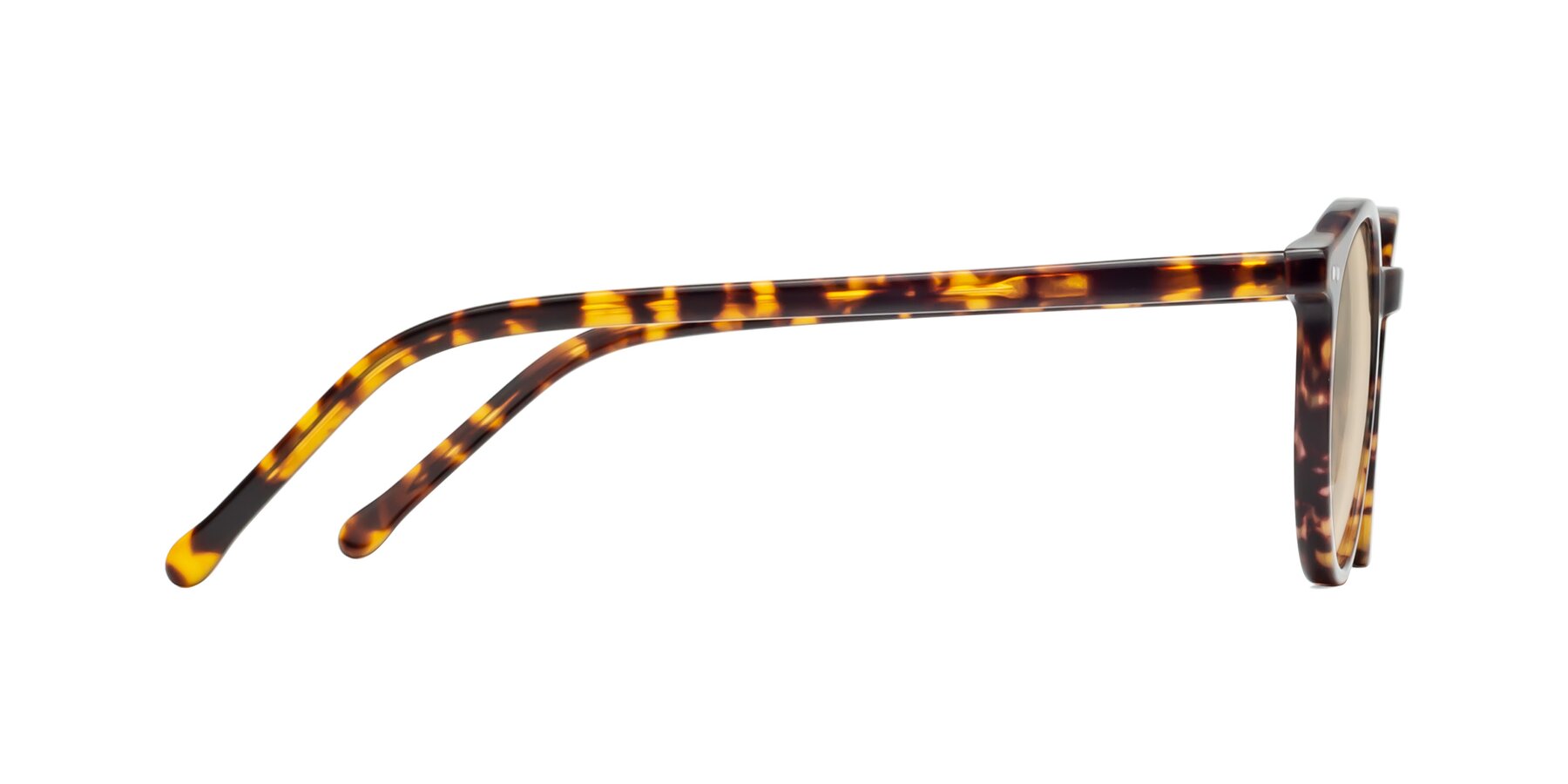 Side of Echo in Tortoise with Light Brown Tinted Lenses