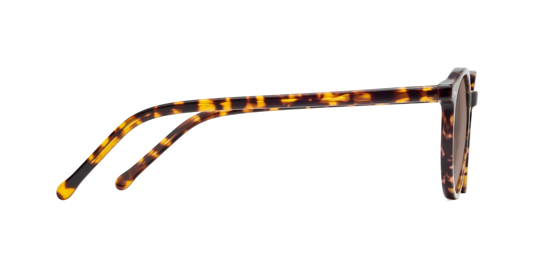 Side of Echo in Tortoise with Medium Brown Tinted Lenses