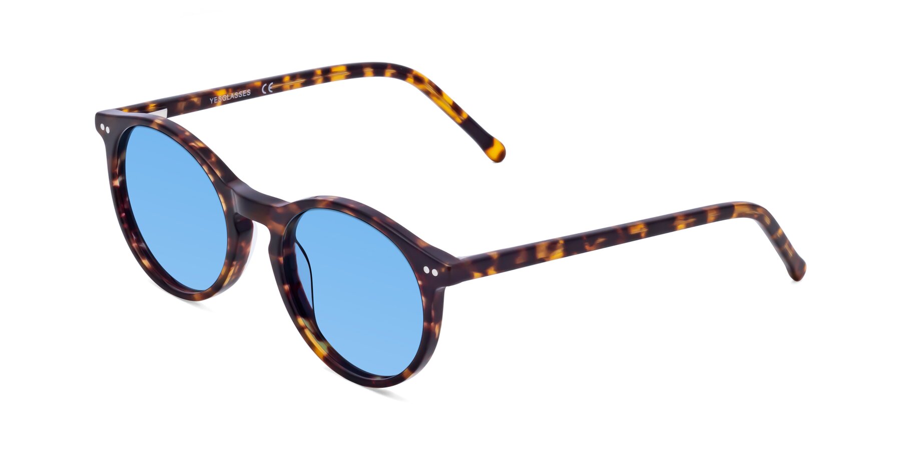 Angle of Echo in Tortoise with Medium Blue Tinted Lenses