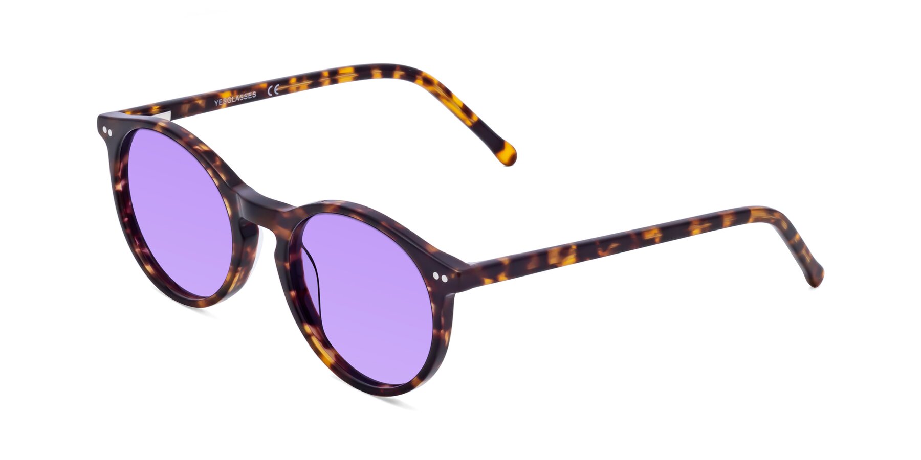 Angle of Echo in Tortoise with Medium Purple Tinted Lenses