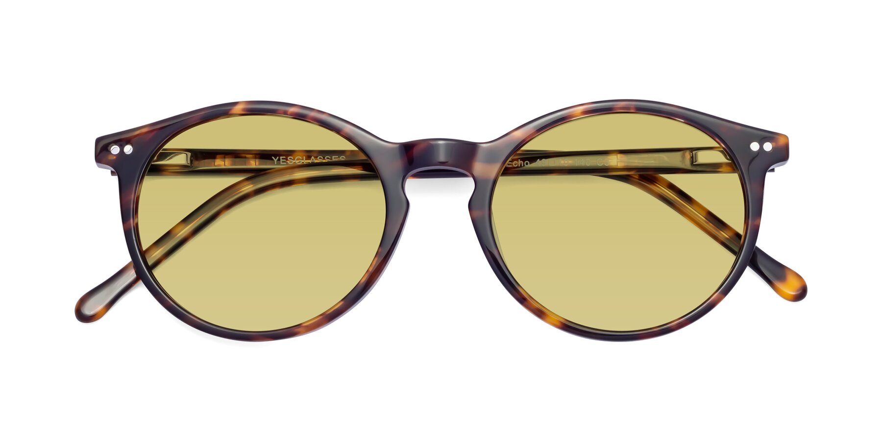 Folded Front of Echo in Tortoise with Medium Champagne Tinted Lenses