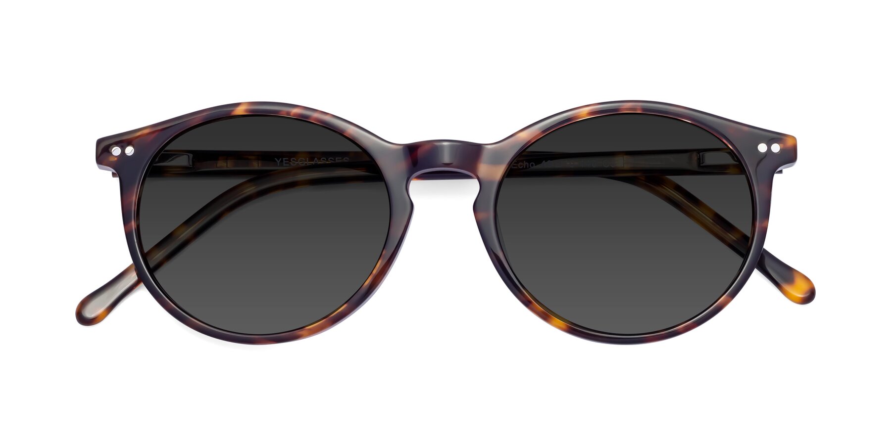 Folded Front of Echo in Tortoise with Gray Tinted Lenses