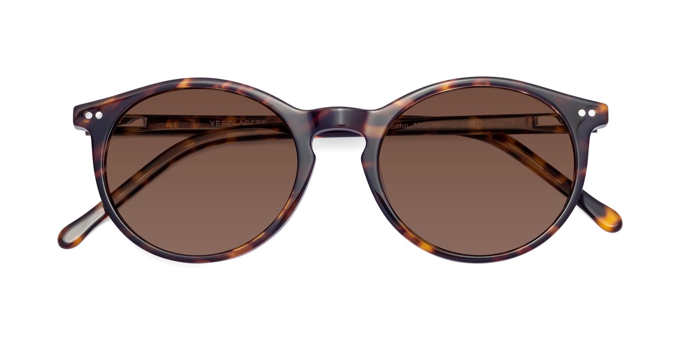 Echo - Tortoise Tinted Sunglasses