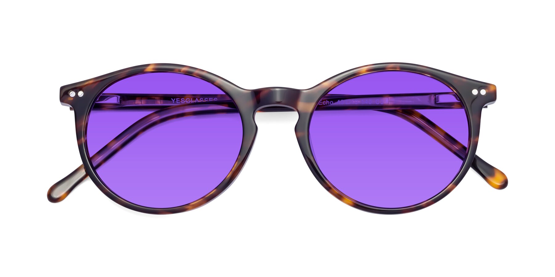 Folded Front of Echo in Tortoise with Purple Tinted Lenses