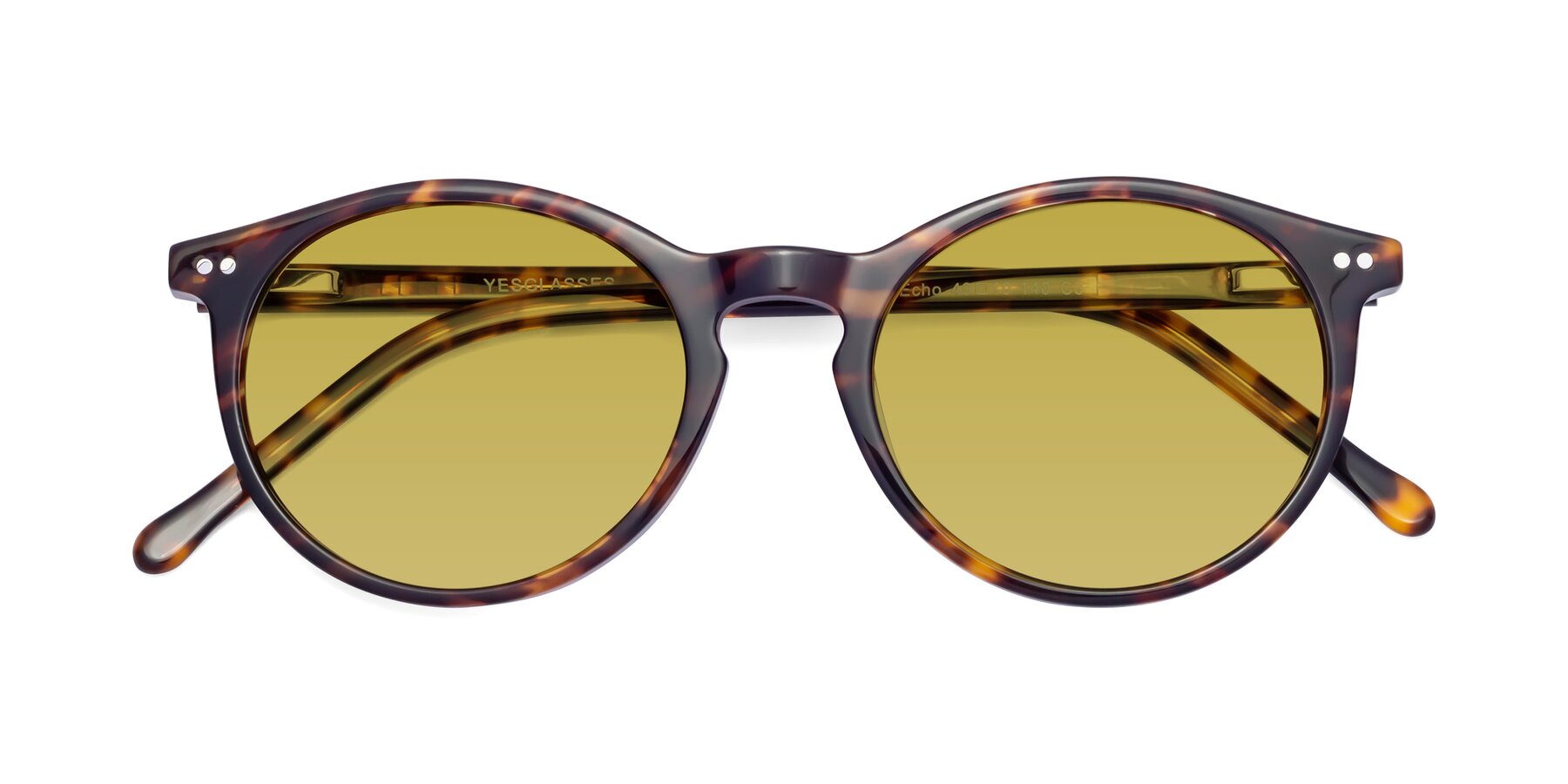 Folded Front of Echo in Tortoise with Champagne Tinted Lenses