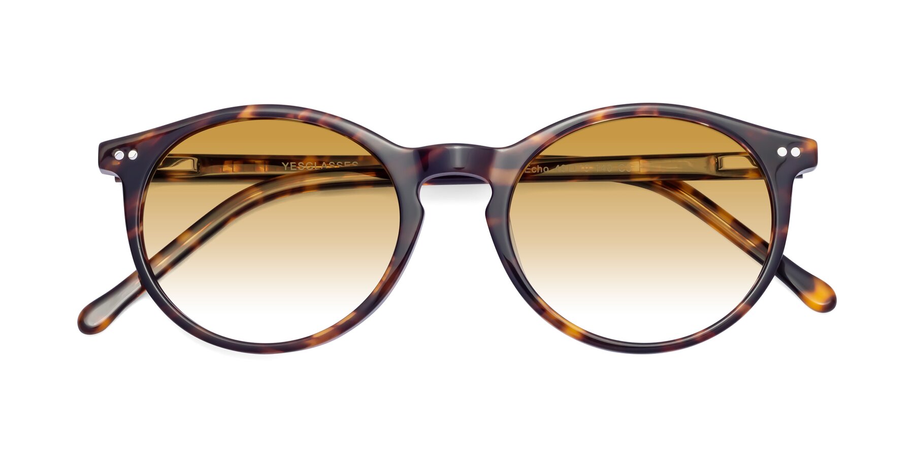 Folded Front of Echo in Tortoise with Champagne Gradient Lenses