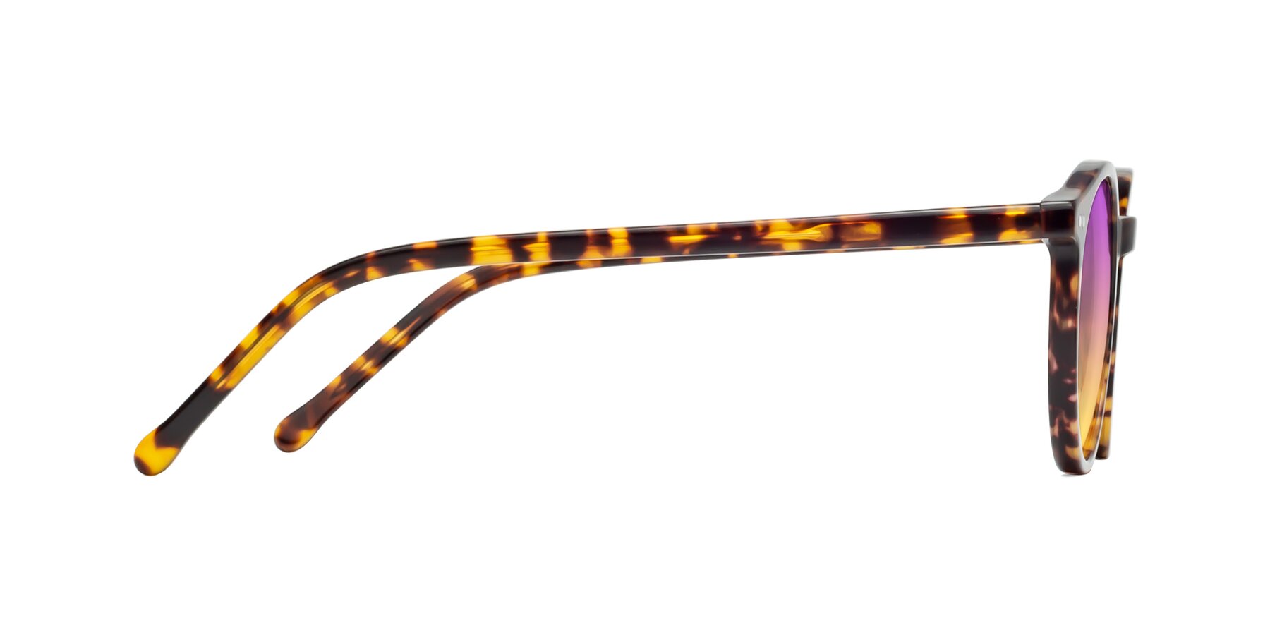 Side of Echo in Tortoise with Purple / Yellow Gradient Lenses